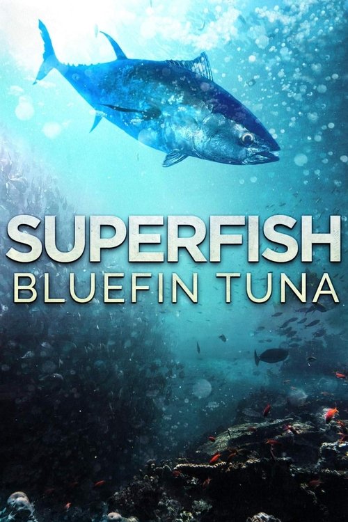 Superfish: Bluefin Tuna (2012) movie poster