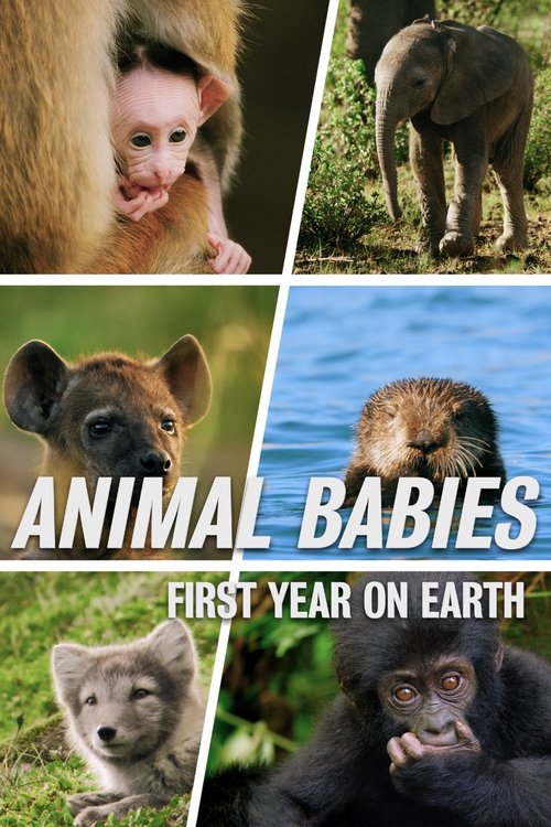 Animal Babies: First Year On Earth (2019) TV show poster