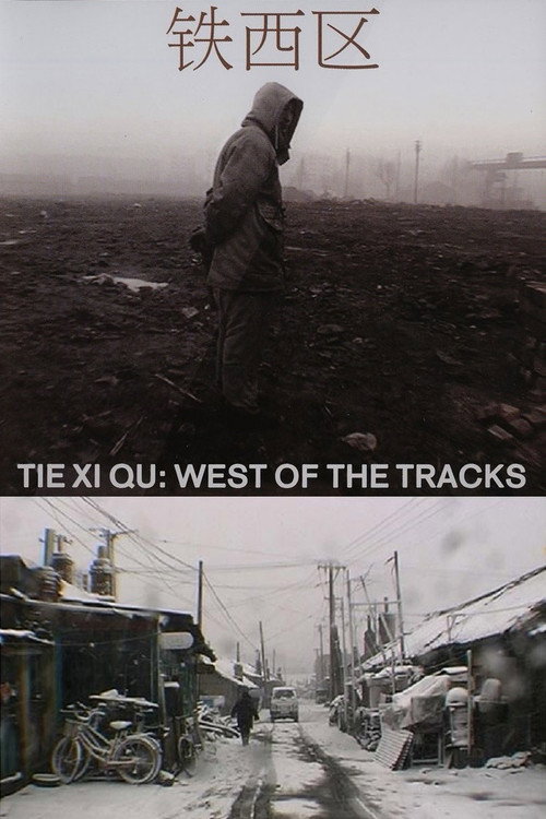 Tie Xi Qu: West of the Tracks (2004) movie poster