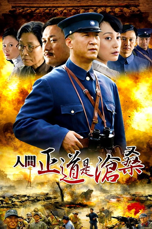 The Road We Have Taken (2009) TV show poster