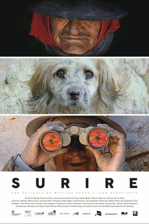 Surire (2015) movie poster