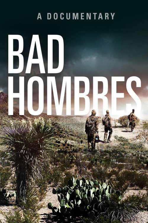 Bad Hombres (2017) movie poster