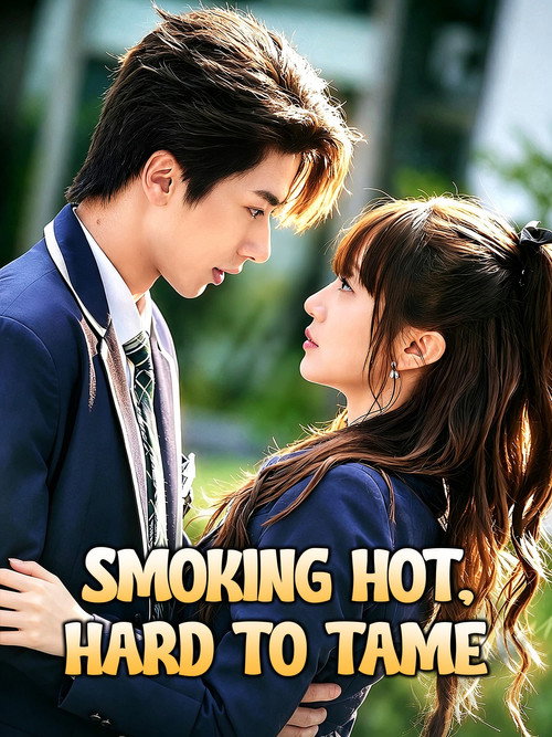 Smoking Hot, Hard to Tame TV show poster