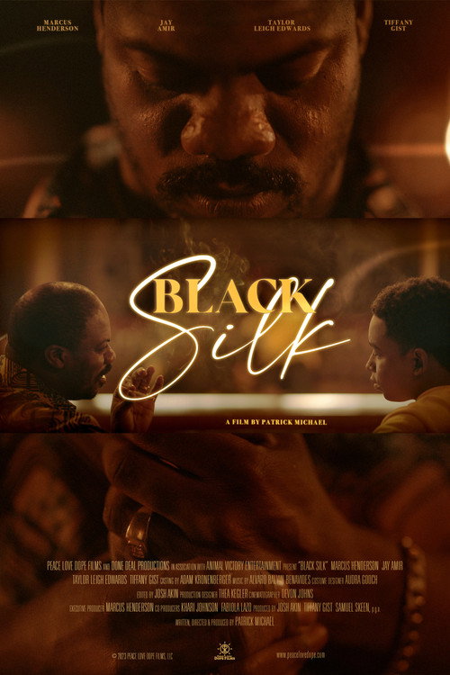 Black Silk (2023) movie poster