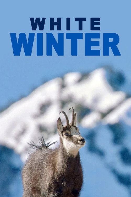 White Winter (2022) movie poster