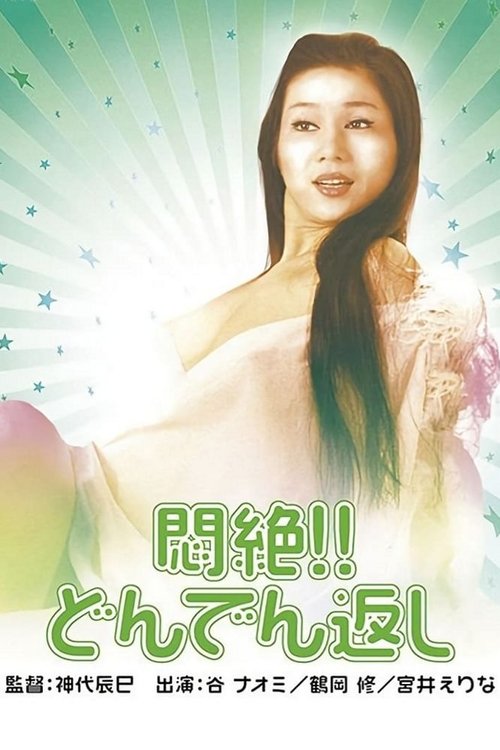 Painful Bliss: Final Twist (1977) movie poster