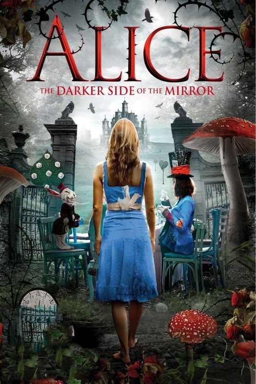 The Other Side of the Mirror (2016) movie poster