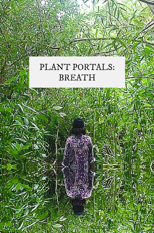 plant portals: breath (2020) movie poster