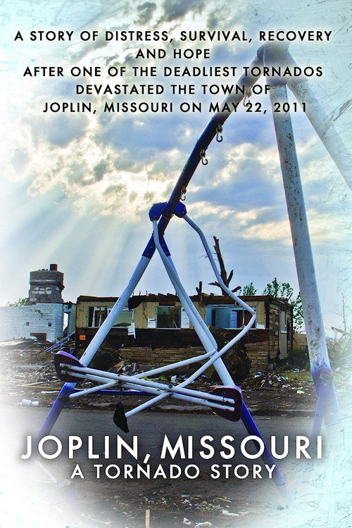 Witness: Joplin Tornado (2012) movie poster