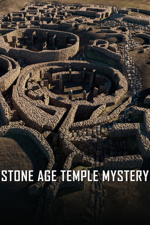 Stone Age Temple Mystery (2026) movie poster