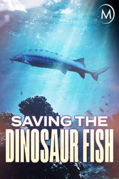 Saving the Dinosaur Fish (2020) movie poster