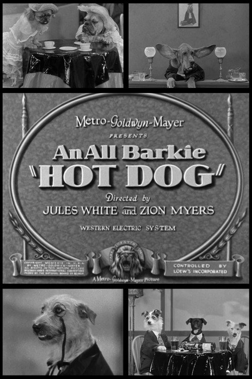 Hot Dog (1930) movie poster
