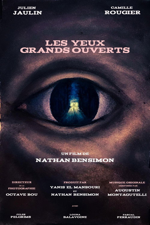 Les Yeux Grands Ouverts (2026) movie poster