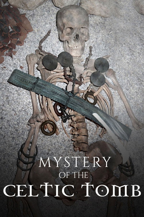 Mystery of the Celtic Tomb (2019) movie poster