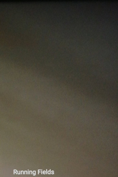 Running Fields (2024) movie poster