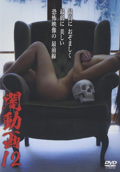 Tokyo Videos of Horror 12 (2015) movie poster
