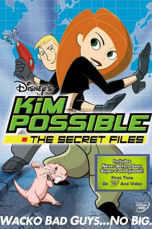 Kim Possible: The Secret Files (2003) movie poster