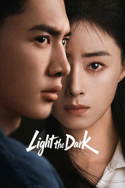 Light the Dark TV show poster