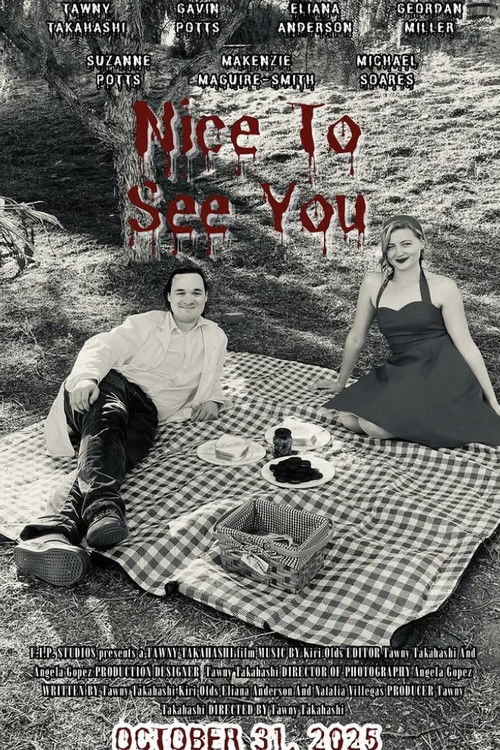 Nice to See You (2025) movie poster