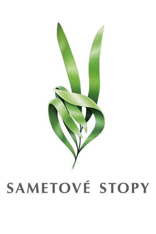 Sametové stopy (2019) TV show poster