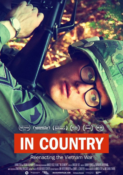 In Country (2015) movie poster