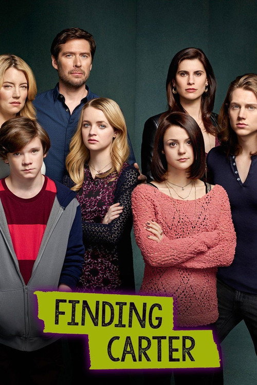 Finding Carter (2014) TV show poster