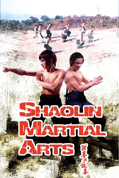 Shaolin Martial Arts (1974) movie poster
