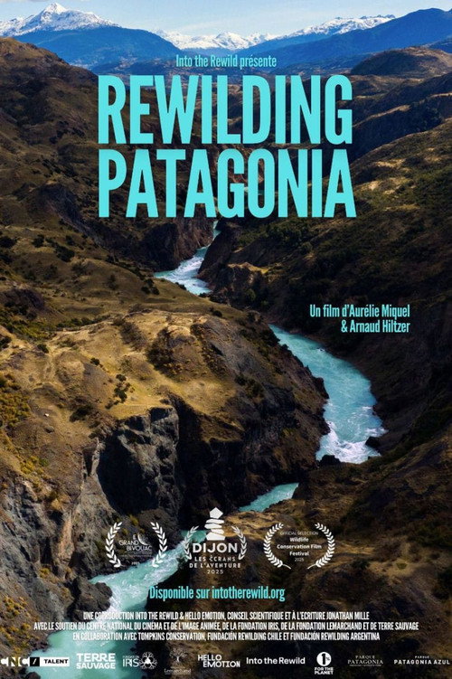 Rewilding Patagonia (2025) movie poster