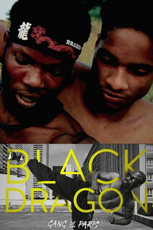 Gang de Paris : Black Dragon (2021) TV show poster