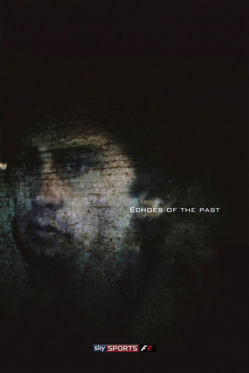 Echoes of The Past (2012) TV show poster