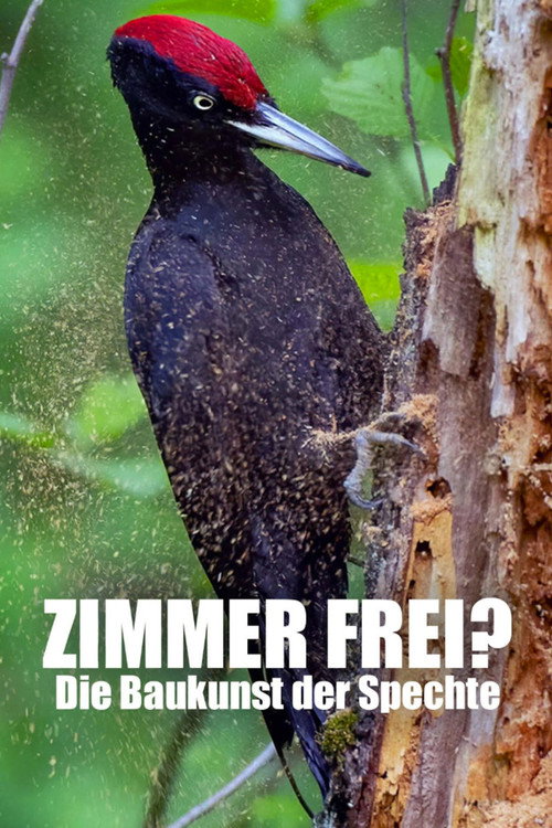 Knock knock – a Woodpeckers world (2022) movie poster