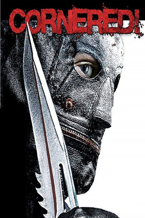 Cornered! (2009) movie poster