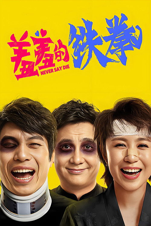 Never Say Die (2017) movie poster