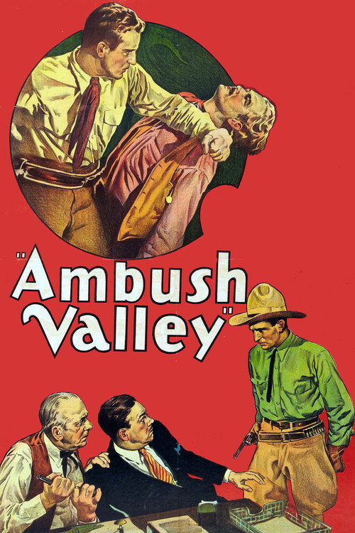 Ambush Valley (1936) movie poster
