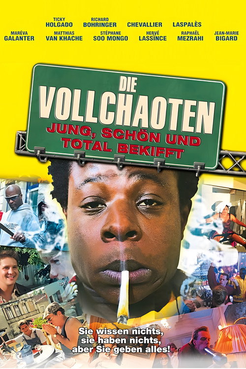 Young, Beautiful and Screwed Up (2003) movie poster
