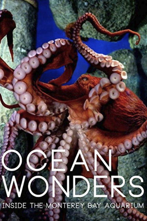 Ocean Wonders - Inside the Monterey Bay Aquarium (2015) movie poster