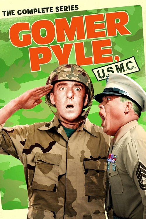 Gomer Pyle, U.S.M.C. (1964) TV show poster