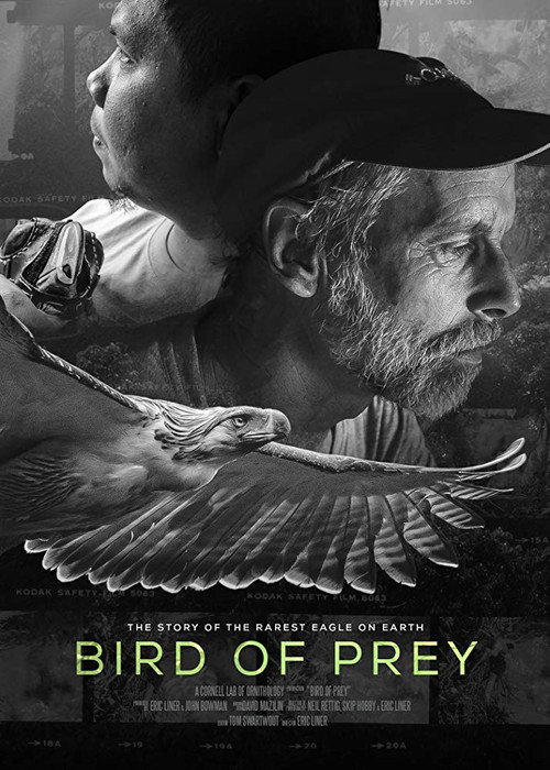 Bird of Prey (2018) movie poster