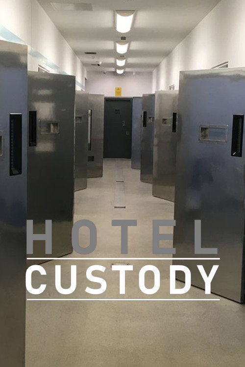 Hotel Custody (2022) TV show poster