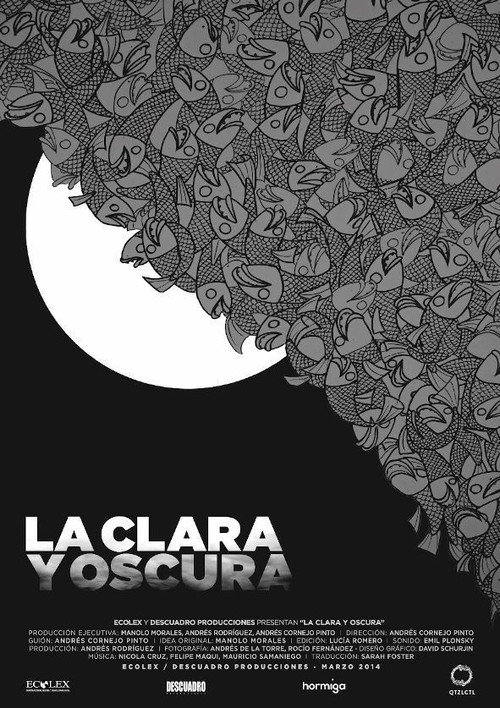 La clara y oscura (2014) movie poster