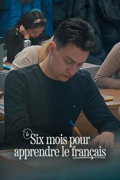 Six mois pour apprendre le français (2024) movie poster