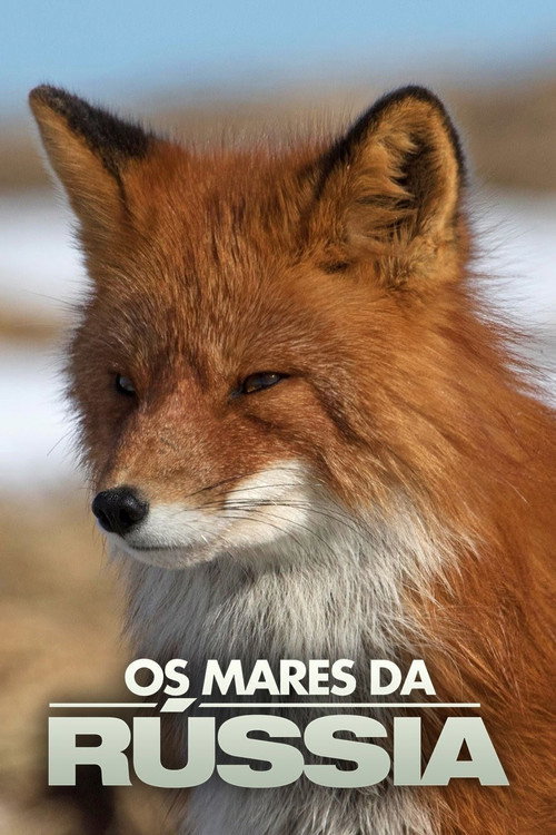 Russia's Wild Sea (2018) TV show poster
