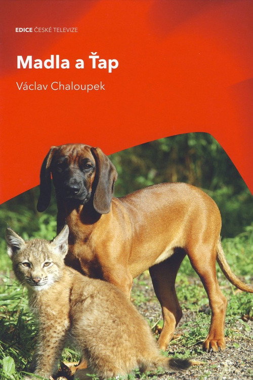 Madla a Ťap (2007) TV show poster