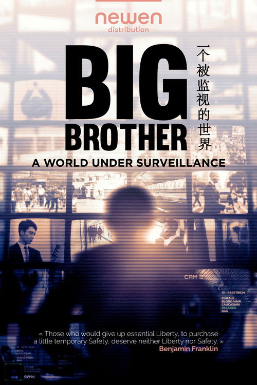 Big Brother: A World Under Surveillance (2020) movie poster