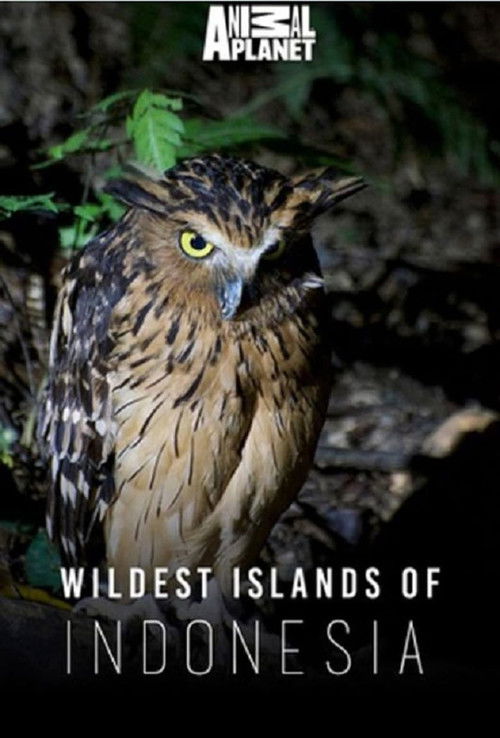 Wildest Islands of Indonesia (2016) TV show poster