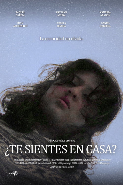 ¿Te Sientes En Casa? movie poster