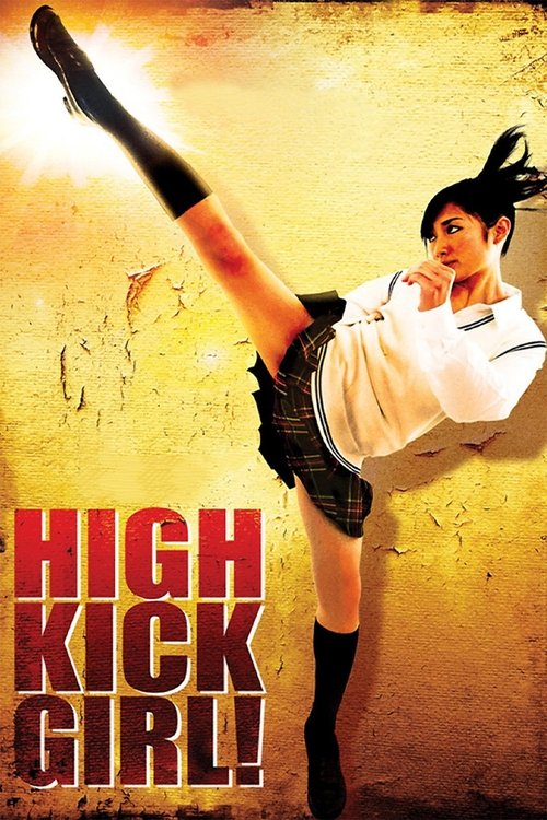 High Kick Girl! (2009) movie poster