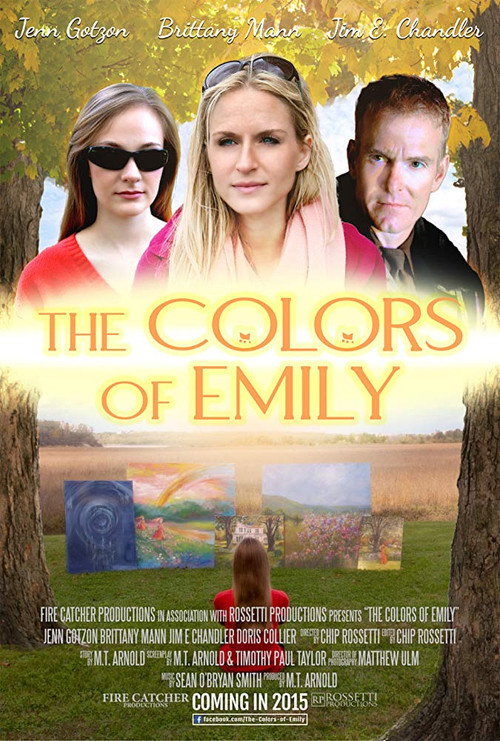 The Colors of Emily (2017) movie poster