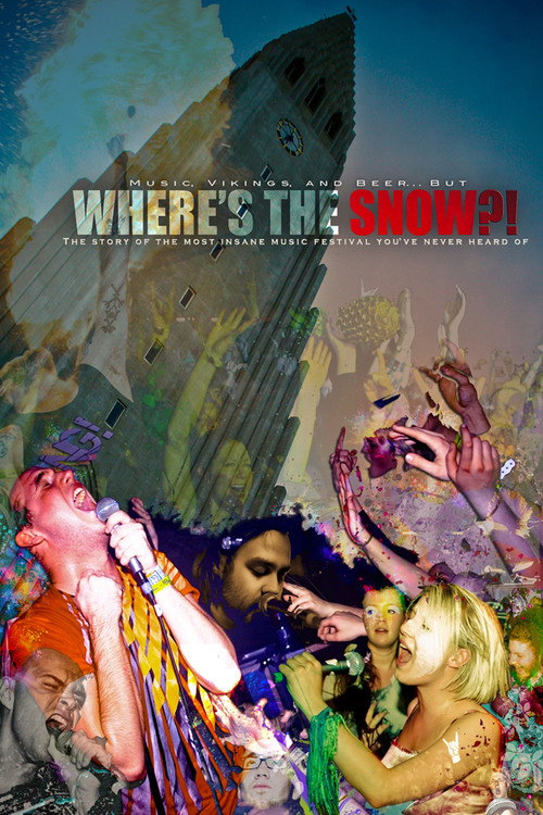 Where's the Snow?! (2010) movie poster