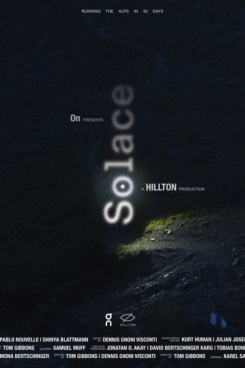 Solace (2021) movie poster